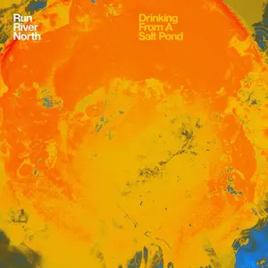 Run River North - Drinking from a Salt Pond  [VINYL RECORD - LP]