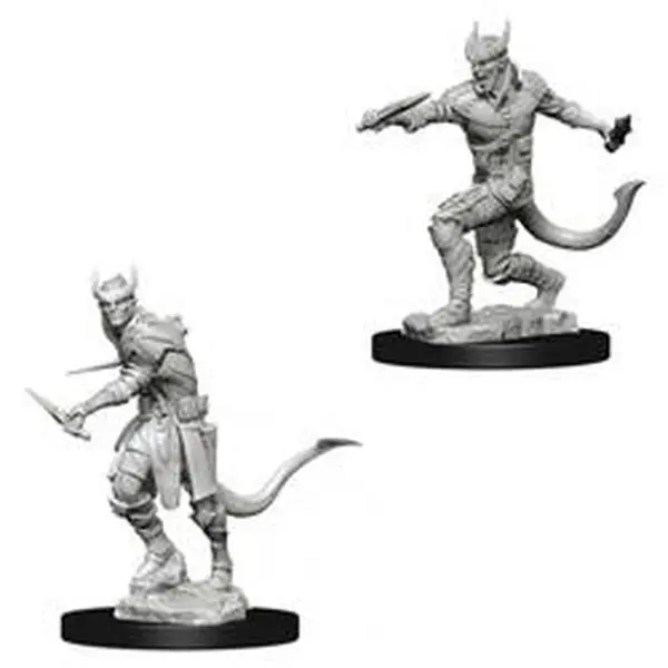 212 MAIN Dungeons & Dragons Nolzurs Marvelous Unpainted Tiefling Male Rogue W5 Base Miniature, Home Decor Statue, Collectible Figures