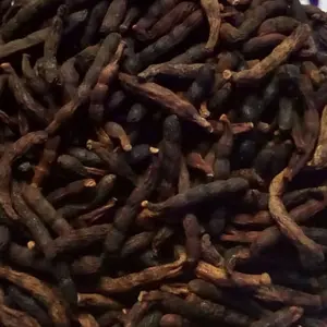 Grains of Selim Aromatic