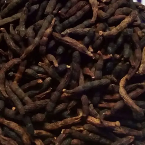 Grains of Selim Aromatic