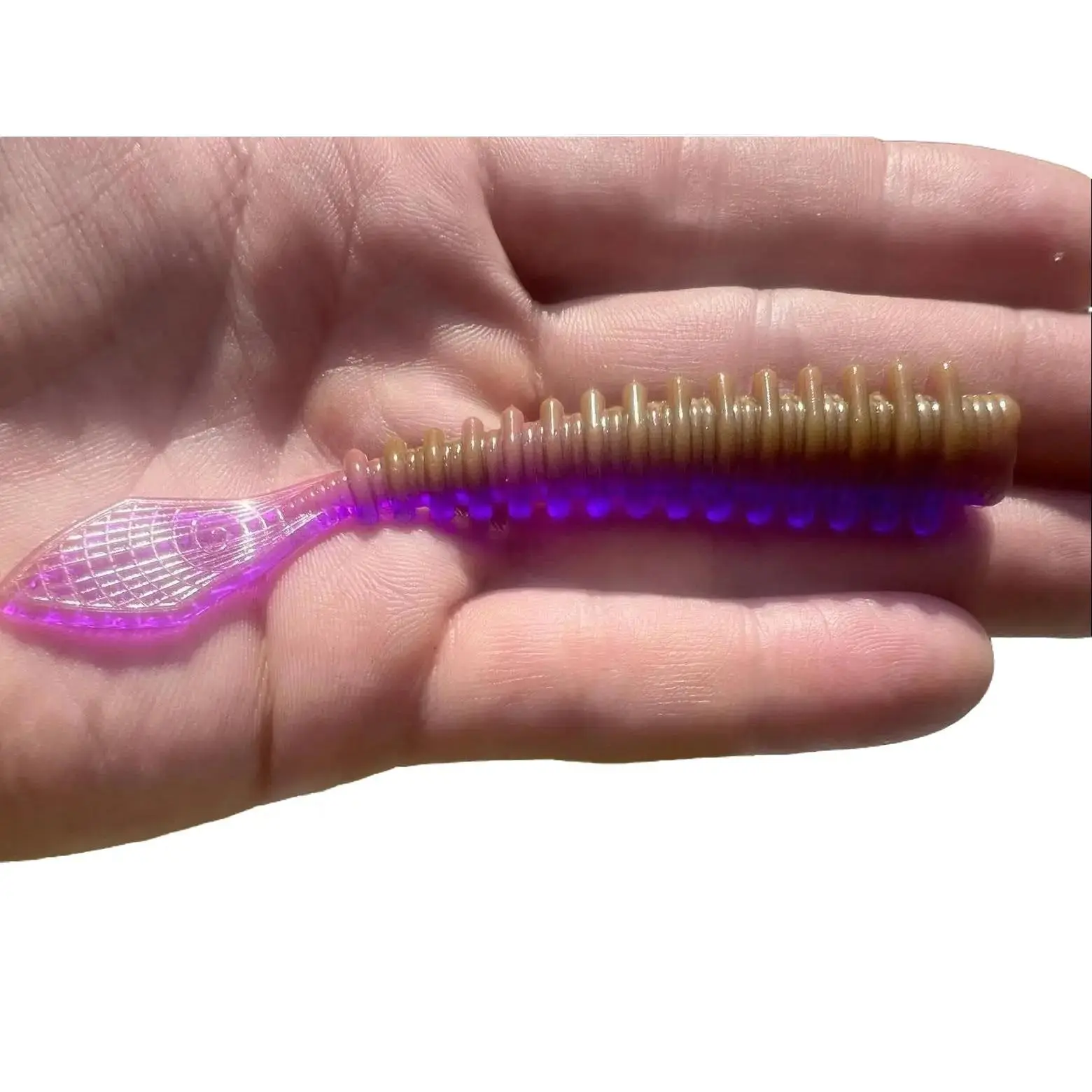 Massacre Worm 4” Flat Ribbed Bait 8-Pack Drop Shot & Ned Rig for Bass Fishing with Subtle Undulating Movements
