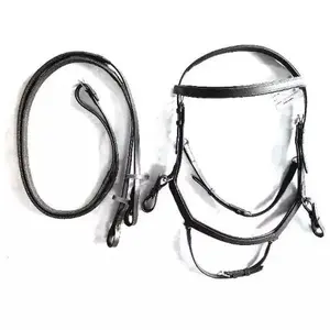 English Competition Bridle - Premium Quality Leather, Stainless Steel Hardware