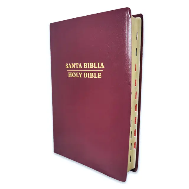 Biblia bilingüe letra grande 11 puntos rvr 1960- /kjv borgoñas piel imitación con índice