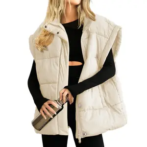 Women's oversized bubble vest stand up collar full zipper sleeveless bubble vest quilted padded warm jacketRAIMENTRY