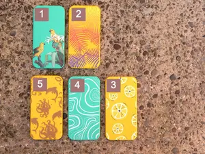 Biodegradable iPhone Case_ For Iphone 11-17