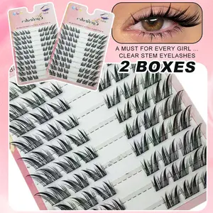 Two Boxes 120pcs Fox Eyelash C Curly Faux Mink Eyelash Expansion, Natural Appearance And Soft Personal Cat Fox Styles Eyelashes. Lash Clusters,Eye Lash Clusters,Individual Eyelashes,Lashes,Fake Lashes, Eyelash Extensions