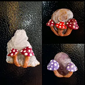 mushroom crystal fridge magnets