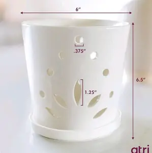 Atri Orchid Pot with Holes 6.5in Modern Porcelain Indoor Orchid Planter Large Ceramic Orchid Pots for Repotting with Drainage Holes