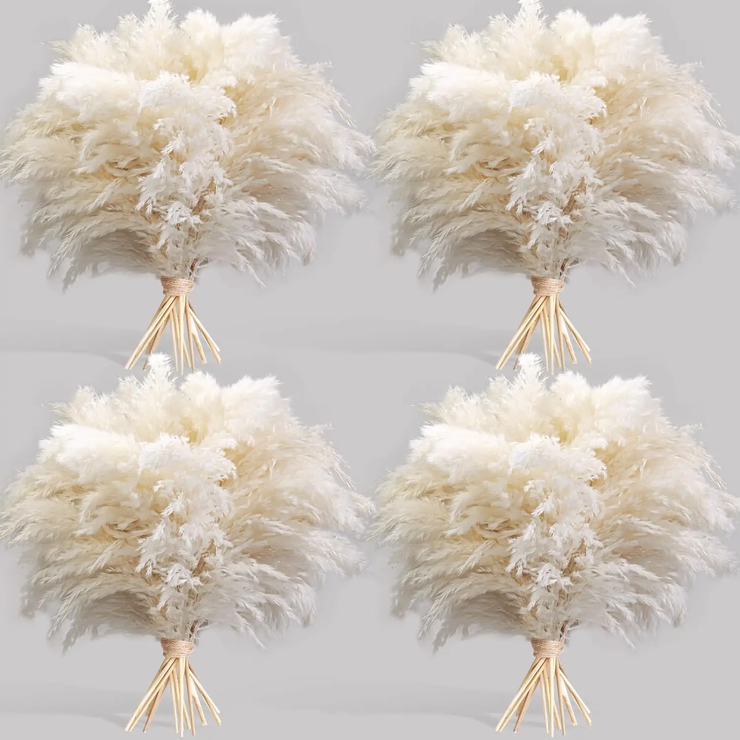 40 count White Pampas Grass for Home Decor - Elegant Boho Decor -  Pampas Grass Stems -  for House, , Western, Wedding, Table, and Bohemian Decor