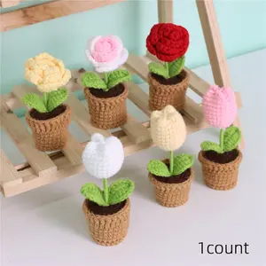 Crochet Flower Pot, 1 Count Handmade Knitting Flower Pot, DIY Decorative Flower Pot for Home & Party Decoration, Ideal Gift Choice, Handmade Crochet Flowers