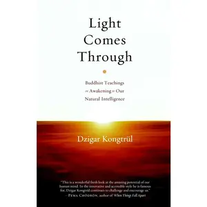 USED-Light Comes Through: Buddhist Teachings on Awakening to Our Natural Intelligence by Kongtrul, Dzigar (Paperback)