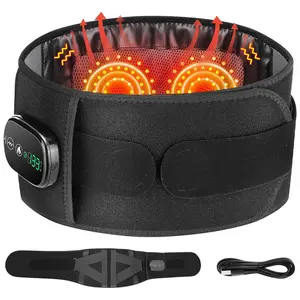Electric Waist Massager, LED Light 5-level Temperature Adjustment Hot Compress Lower Back Waist Massage Belt, Waist Wrap for Women & Men Chrismas Gift