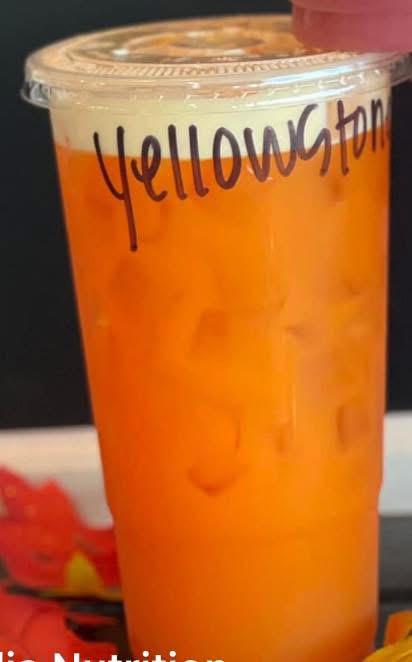 Protein Tea Caffeine Powdered Beverage Mix Flavors Sugar Free Specialty