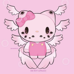 The pink obsession shop