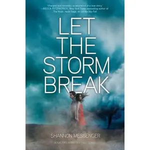 USED-Let the Storm Break by Messenger, Shannon (Hardcover)