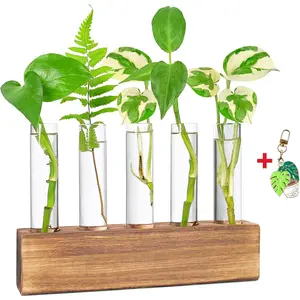 AXYEW  Propagation Station,  Propagation Tubes, Gifts for  Lovers,   Holder Test Tube Vase Office Des Garden Decor  for Her Mom Women Hydroponic Vase   Box