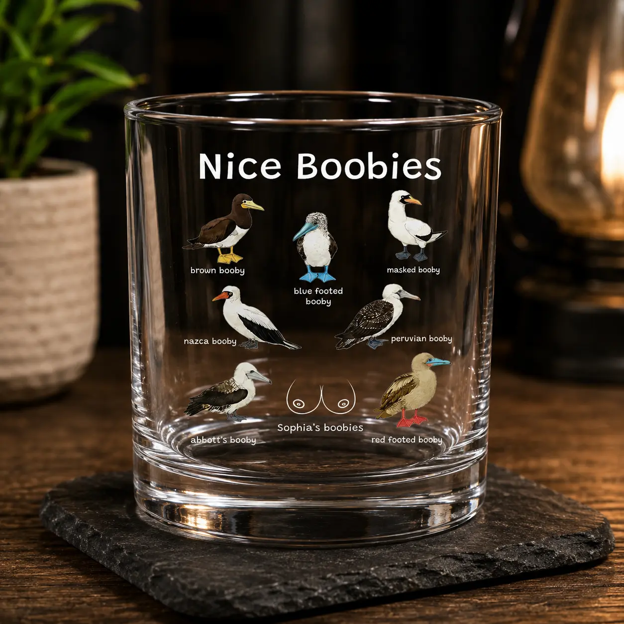 Nice Boobies Whiskey Glass, Personalized Bird Whiskey Glass, Custom Name Whiskey Glass, Bird Watching Gift, Funny Bird Pun Gift, Bird Lover Gift for Men, Bird Lover Gift for Women, 11oz Rocks Glass, Birthday Gift, Christmas Gift Classic Drinkware