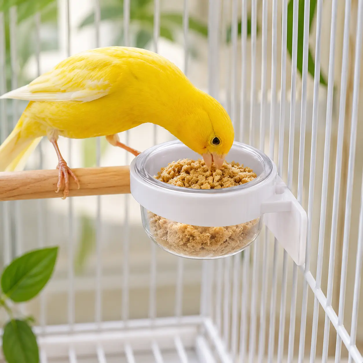 Comedero Colgante de Plástico para Aves