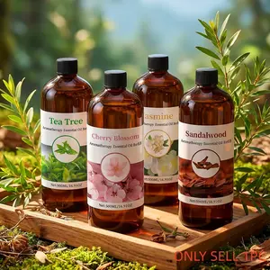 500ML High-Quality Essential Oil Refill, Alcohol-Free, for Diffusers, Humidifiers, Car Fragrance, Air Freshener, Perfect Gift