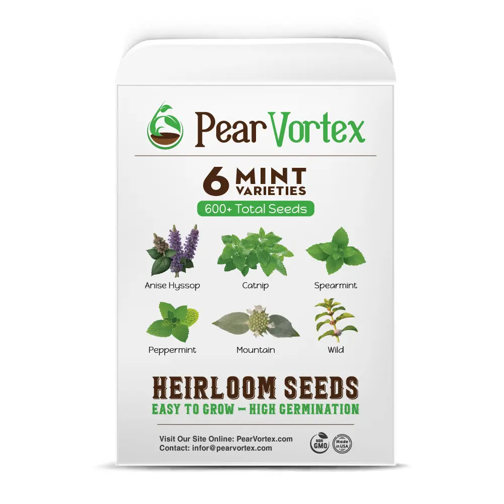 (6 Variety) Mint Seeds for Planting Outdoors or Indoors - Peppermint, Spearmint, Mountain Mint, Wild Mint, Anise Hyssop, & Catnip Mint | Non-GMO seed mix