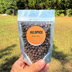 Allspice Berries | Pimenta dioica | Warming & Aromatic Herb | Purification