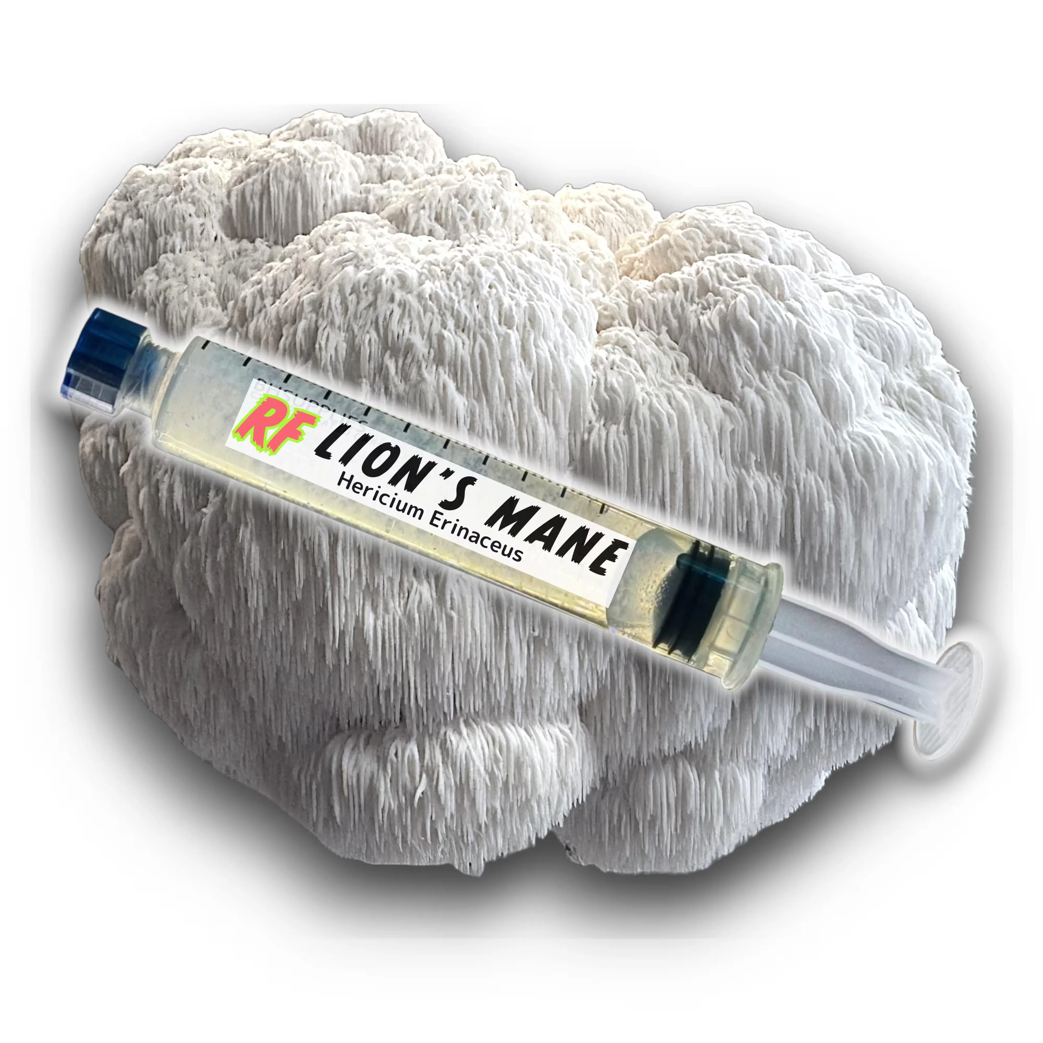 Lion's Mane (Hericium Erinaceus) Liquid Culture
