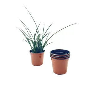 25-PK 4.5-inch Round Nursery Pots with Drainage - Stackable Terracotta-Style Plastic Planters for Seedlings, Herbs, Vegetables & Small Plants (25 Count)