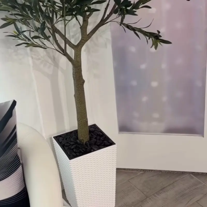 Árbol de olivo para decorar Decoration