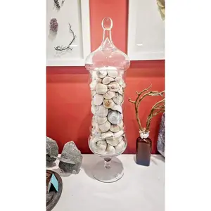 Glass Jar Filled with Whale’s Eye Shells – Coastal Decorative Accent 26.25"