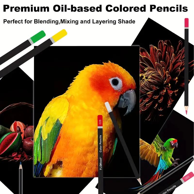 120 Colored Pencils Kit, Oil-Based Soft Core Art Supplies with Zipper Case, Ideal for Sketching and Shading, Professional Drawing Pencil Set