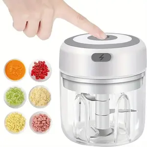 250ml Electric Mini Garlic Chopper for Summer, USB Rechargeable Garlic Masher Machine, Modern Design Portable Vegetable Crusher