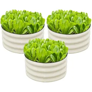 3 Pcs 2x2x1ft Round Galvanized Raised Garden Bed Kit Outdoor, Metal Planter Box for Planting Plants Vegetables, White