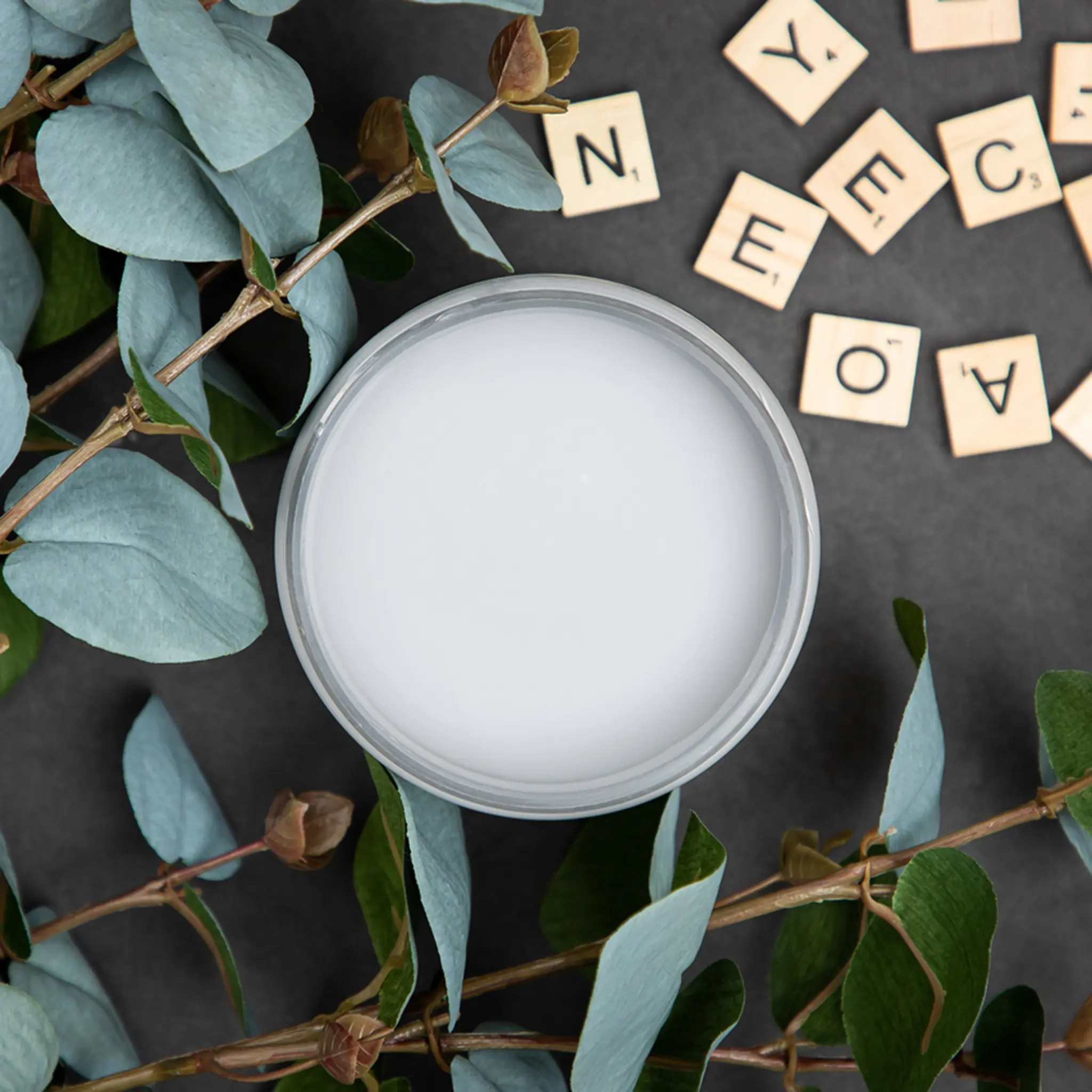 Dixie Belle Paint | MANATEE GRAY Chalk Mineral Furniture Paint | Original Product with Rich Color and Versatile Application for Furniture & Home Decor