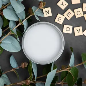 Dixie Belle Paint | MANATEE GRAY Chalk Mineral Furniture Paint | Original Product with Rich Color and Versatile Application for Furniture & Home Decor