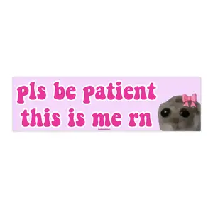 pls be patient this is me rn | Funny Meme Sticker | 8.7'' X 2.7'' | Waterproof Premium Quality