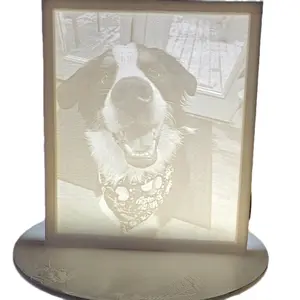3D Lithophanes, Fun 3D model decor, Completely designed modeled and printed personally in one place.