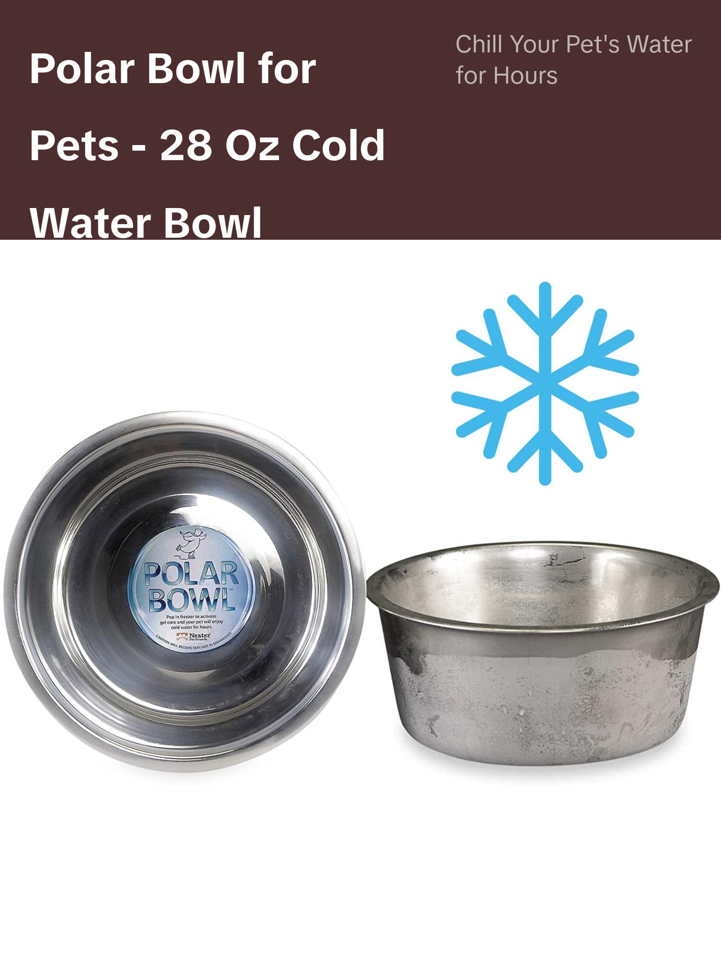 NEATER PETS Polar Bowl Freezer Bowl for Pets, Freezable Pet Bowl, Keep Your Dog or Cats Water Cold