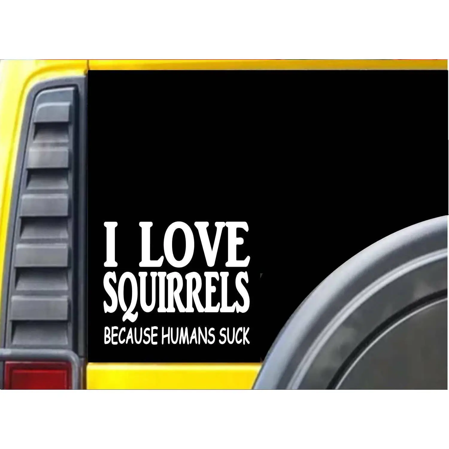 Squirrels because Humans Suck Sticker J955 6 inch Squirrel decal