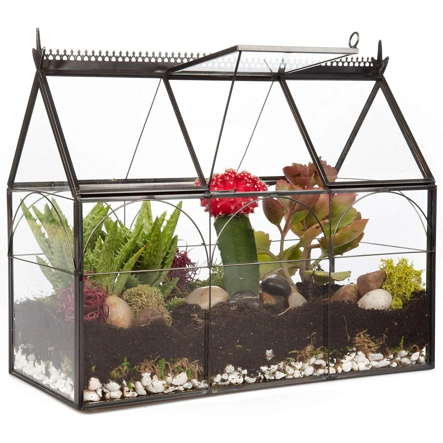 D'Eco Glass Greenhouse Terrarium (10x4.5x9) Tabletop Black Hinged Geometric Planter - Home, Garden, Office Decor- Gift for Plant Lovers & Mother's Day