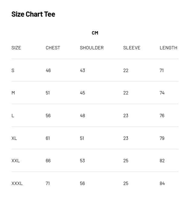 Frieren Streetwear Vintage Washed Anime T-Shirt | Demon Elf Girl Purple Crown Graphic Tee | Oversized Retro Shirt | Heavy Cotton Grunge Gift for Frieren Fans Unisex couple T-shirts