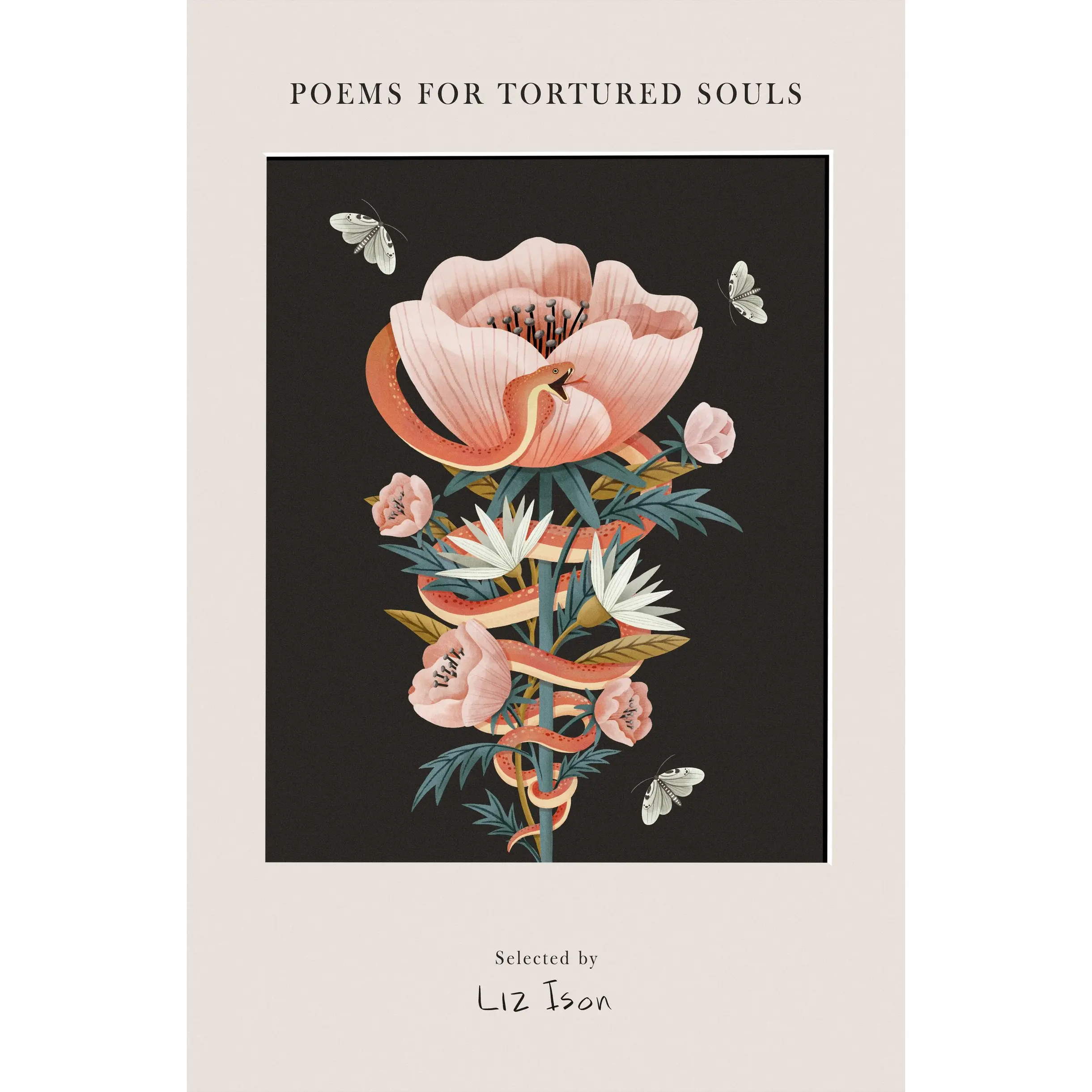 Poems for Tortured Souls by Liz Ison [Hardcover Book]