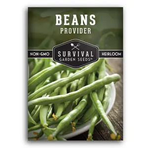 Provider Bush Bean Seed - Ideal for Growing Vegetables in Home Gardens