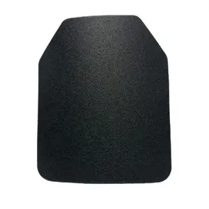 1 pce level 3A PE hard plate 10*12inch only 0.6KG