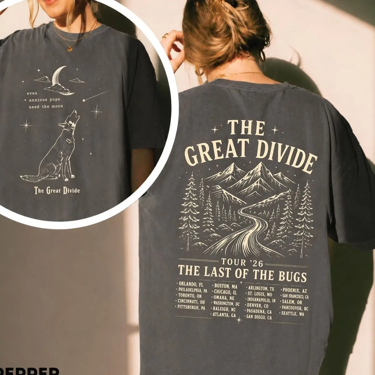 Orbiter Inspired Shirt, NK  Indie Folk Music T-Shirt, The Divide Tour Fan | Comfort Colors 1717 FHE