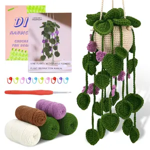 Crochet Kit, 1 Set Hanging Potted Plants Crochet Starter Kit with Step-by-step Video Tutorials Complete Crochet Kit Handmade Crochet Flowers (Purple Flower Plants, Handicraft Yarn Handmade Gifts
