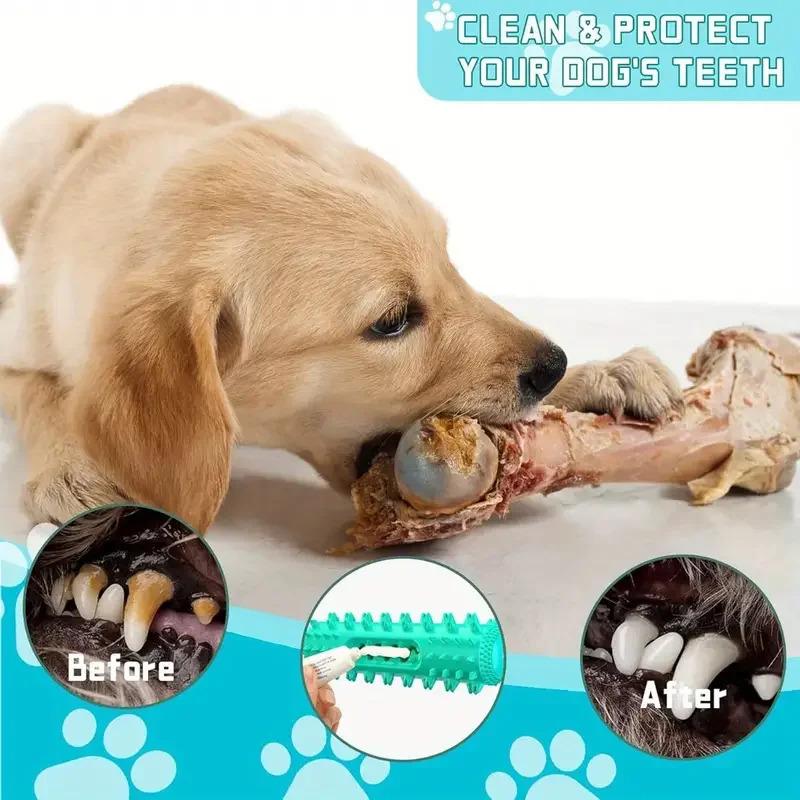 3-in-1 Set Dental Chew Stick Cooling Toothbrush Toy Freezable Ice Chew Toy For Gum Massage Small Medium Breeds Outdoor Bungee 1-Pack