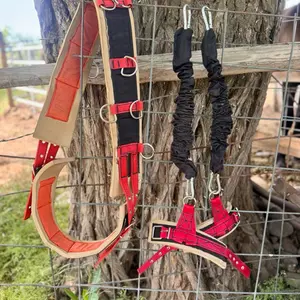 Sincho Set with Handles and Springs for Horseback Riding, Dance Horse Use