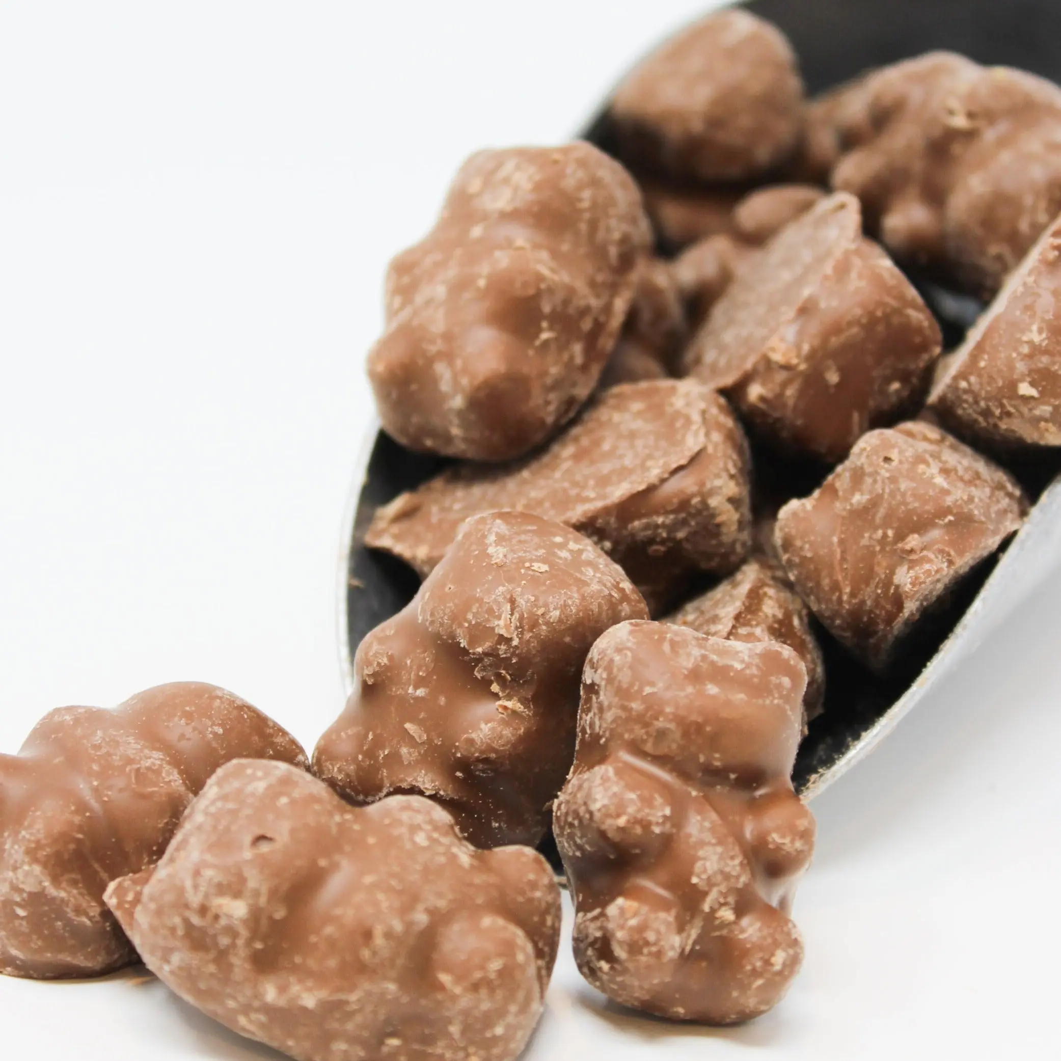 Chocolate Covered Cinnamon Bears
