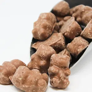Chocolate Covered Cinnamon Bears