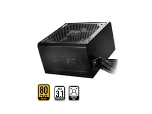 ASRock PRO Series PRO-650G 650 W ATX 3.1 Compatible 80 PLUS GOLD Certified Power Supply